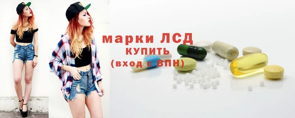 apvp Алексин