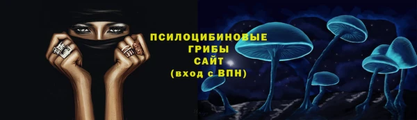 apvp Алексин
