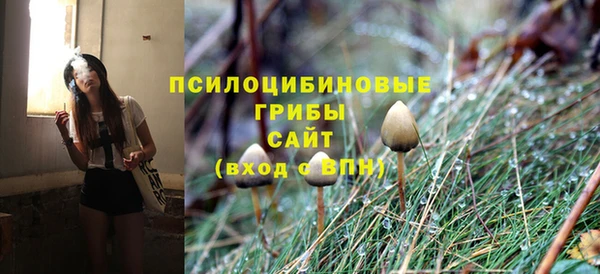 a pvp Алзамай
