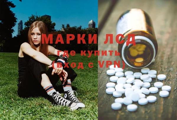 apvp Алексин