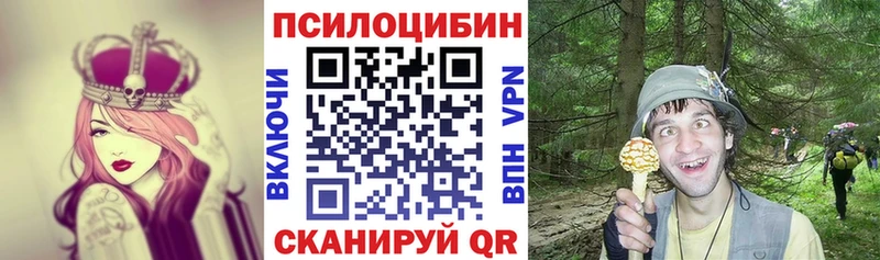 кракен tor  Дудинка  Галлюциногенные грибы Cubensis 